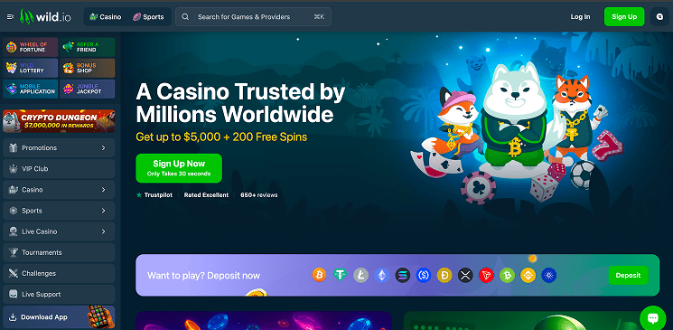 wild casino
